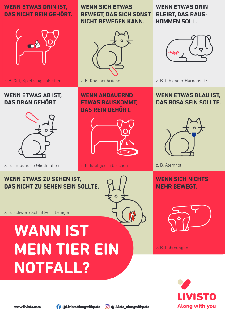 Entscheidungshilfe für Notfälle Entscheidungshilfe für Notfälle